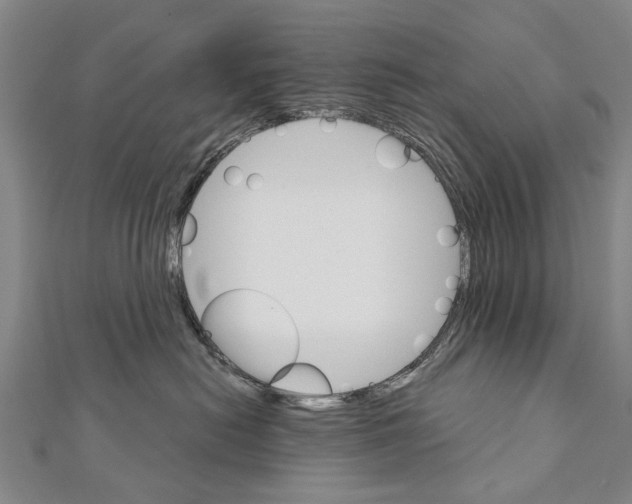 X0000111800478200908201157