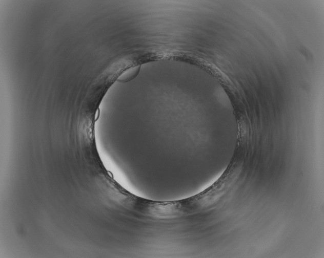 X0000111800479200908201157