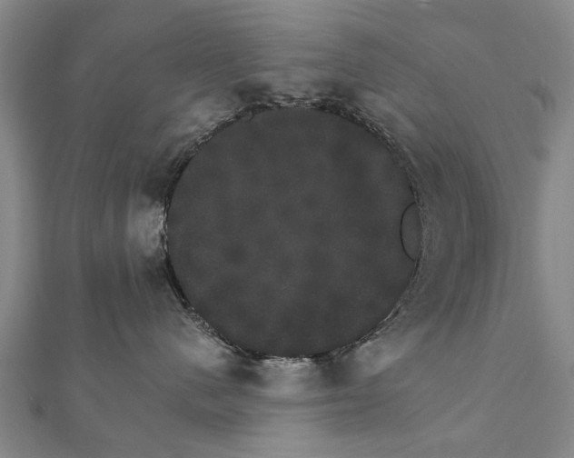 X0000111800480200908201157