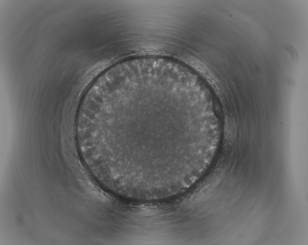 X0000111800481200908201156