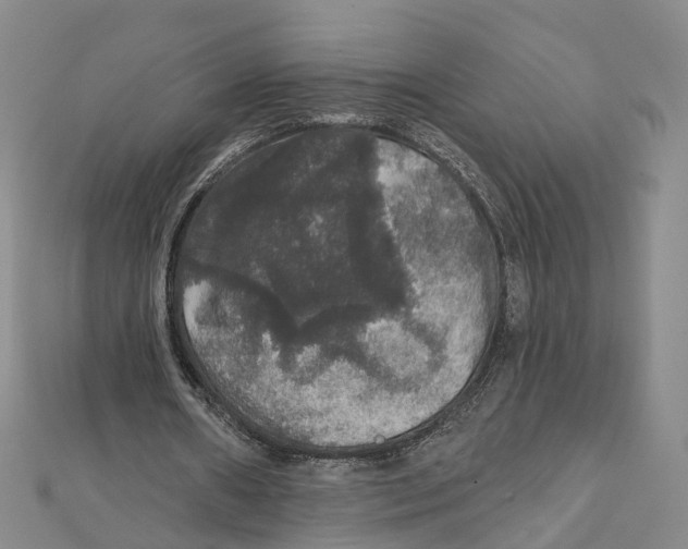X0000111800482200908201156