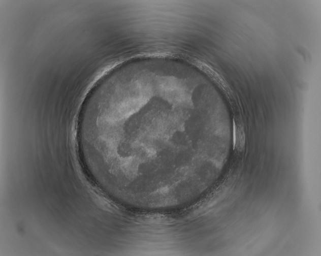 X0000111800483200908201156
