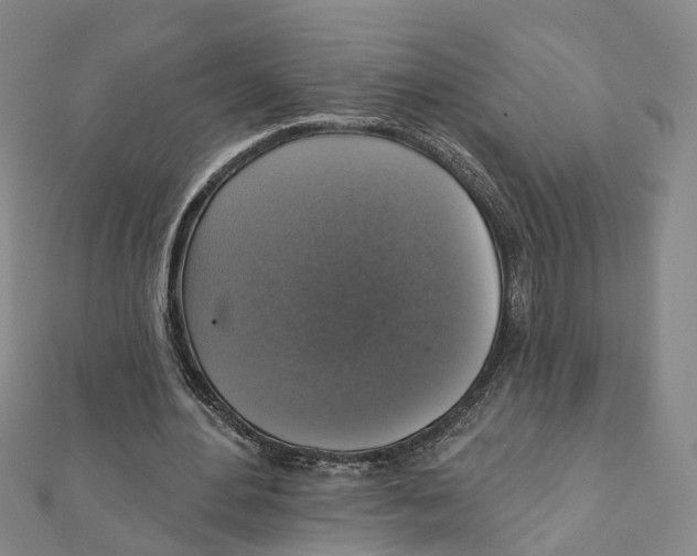 X0000111800484200908201156