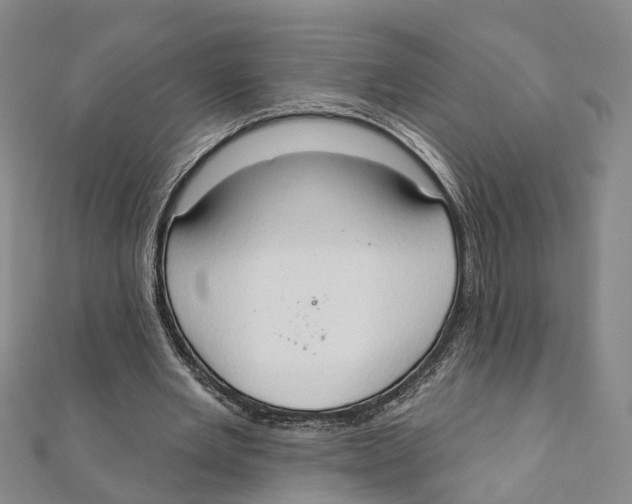 X0000111800485200908201156