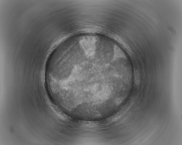 X0000111800486200908201156