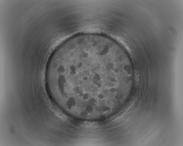 X0000111800487200908201156