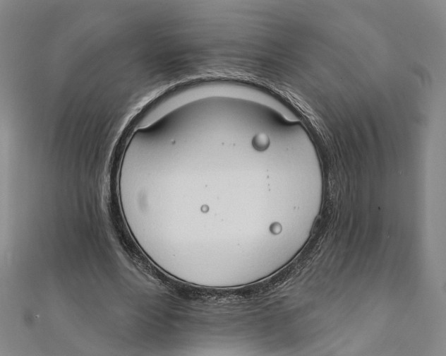 X0000111800488200908201156