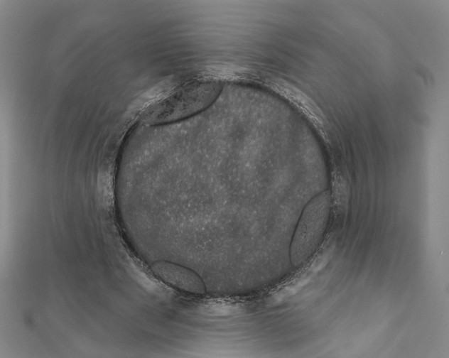 X0000111800489200908201156