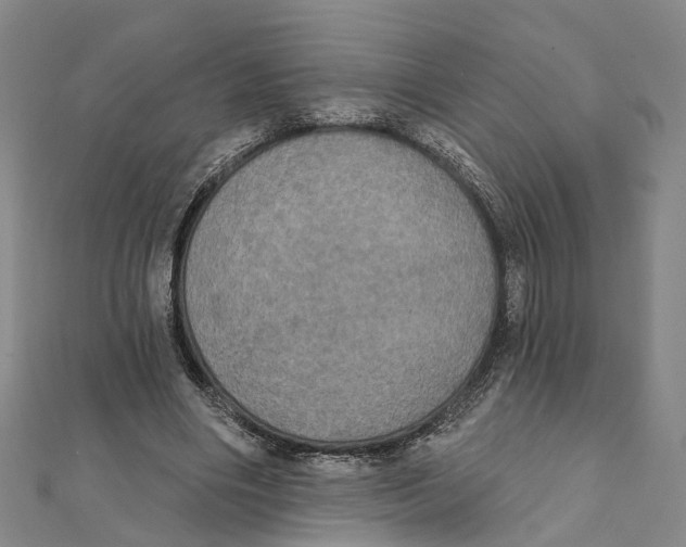 X0000111800490200908201156