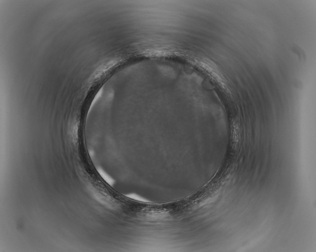X0000111800491200908201156