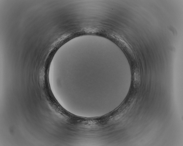 X0000111800492200908201156