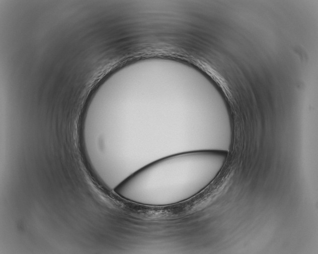 X0000111800493200908201156