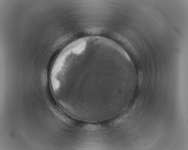 X0000111800494200908201156
