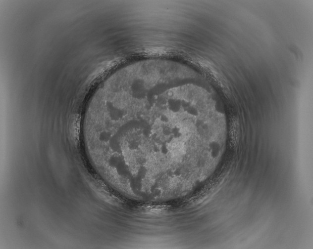 X0000111800495200908201156