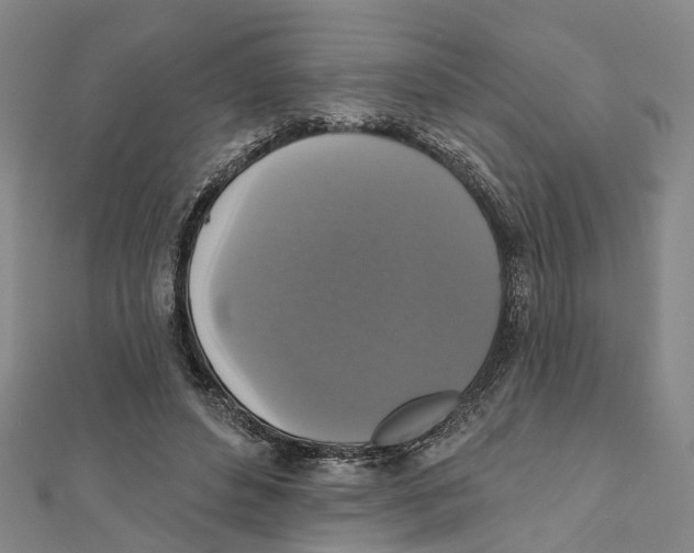 X0000111800496200908201156