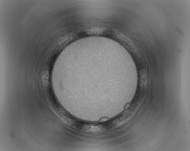 X0000111800498200908201156