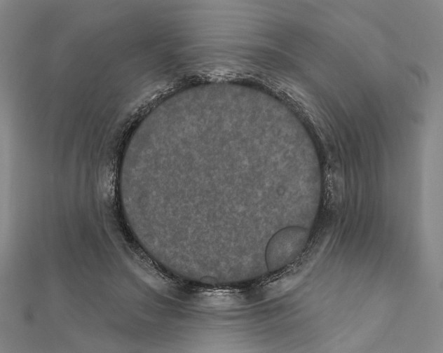 X0000111800499200908201156
