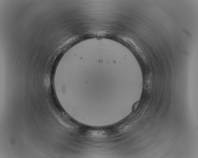 X0000111800500200908201156
