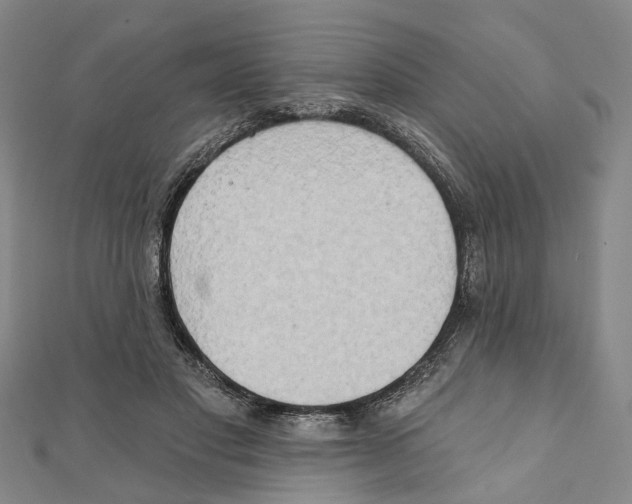 X0000111800501200908201156