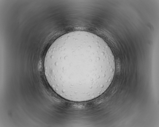 X0000111800502200908201156