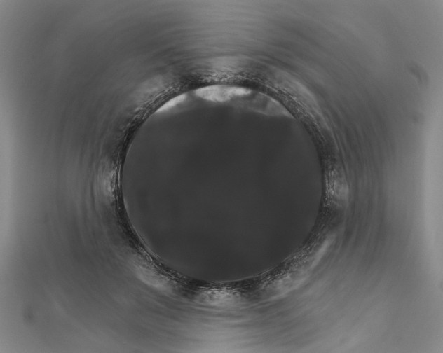 X0000111800503200908201156