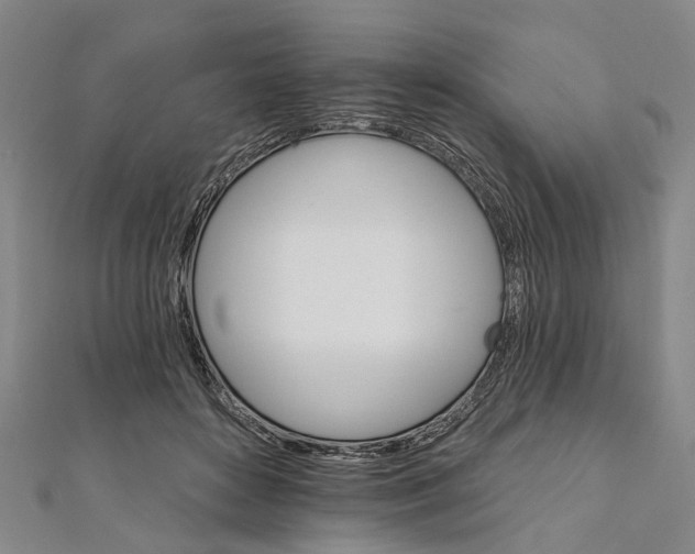 X0000111800504200908201156