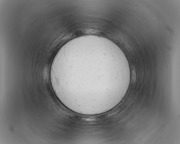 X0000111800506200908201156