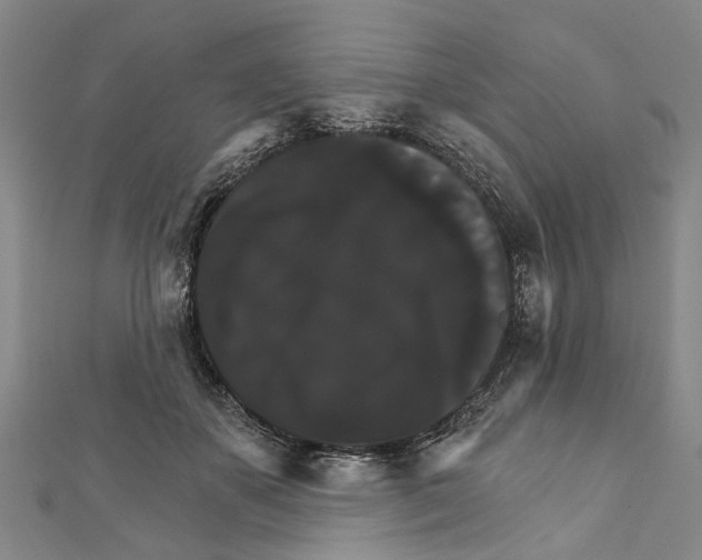 X0000111800507200908201156