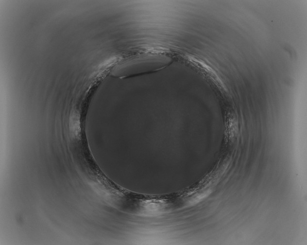 X0000111800508200908201156