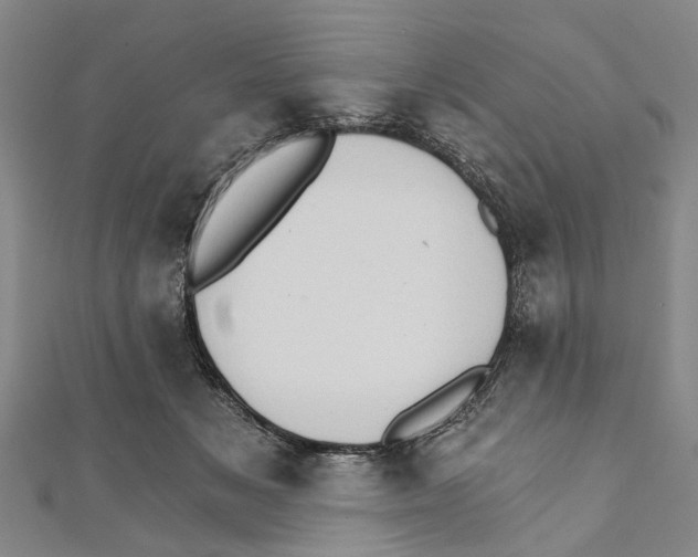 X0000111800509200908201156
