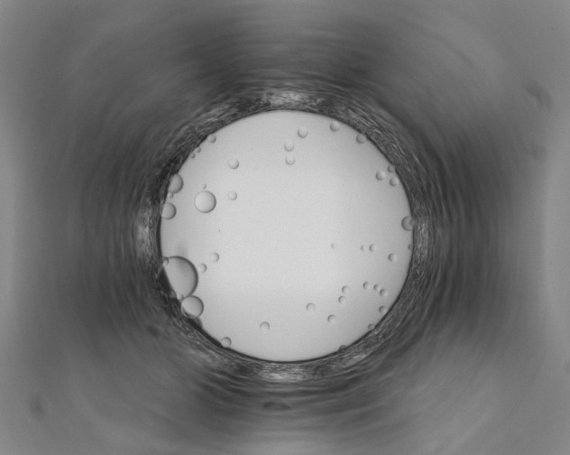 X0000111800510200908201156