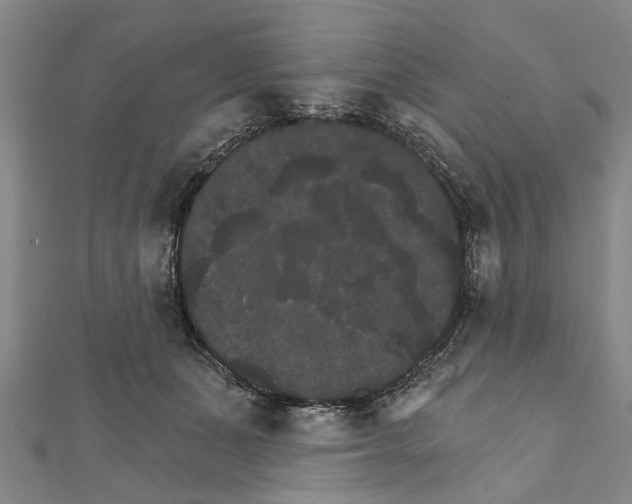 X0000111800511200908201156