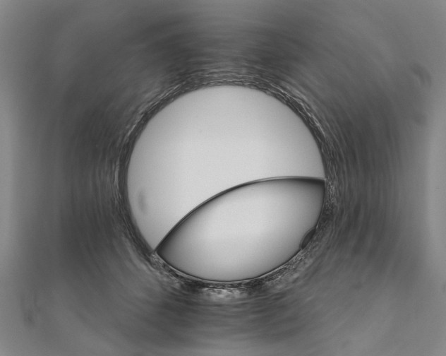 X0000111800512200908201156