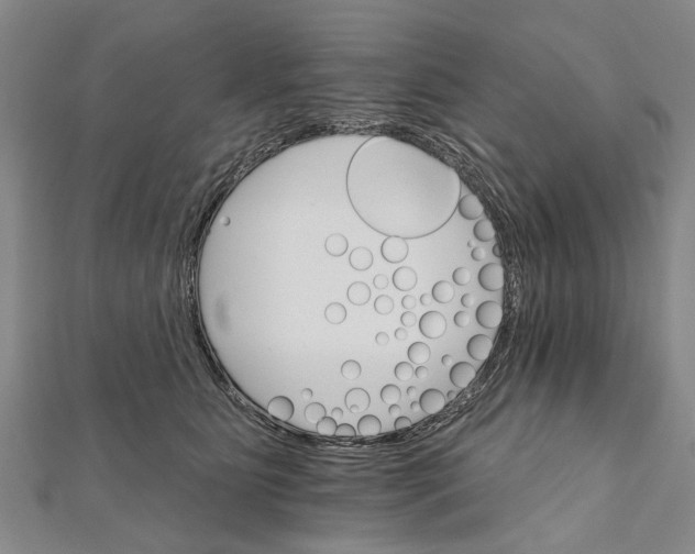 X0000111800515200908201156