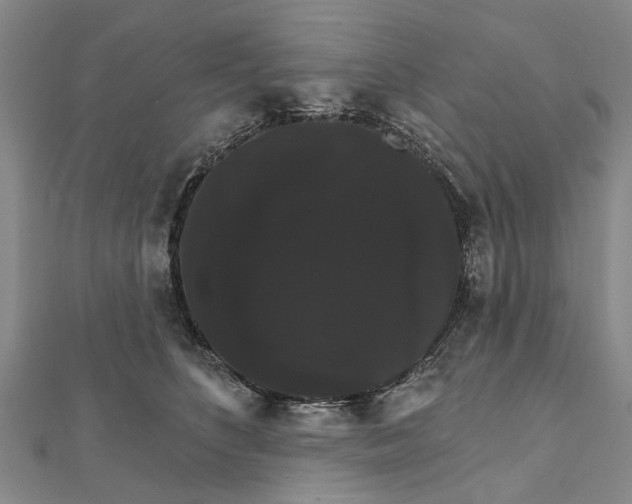 X0000111800516200908201156