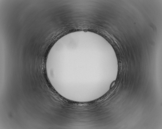 X0000111800517200908201156