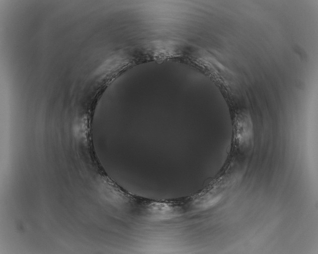 X0000111800519200908201156