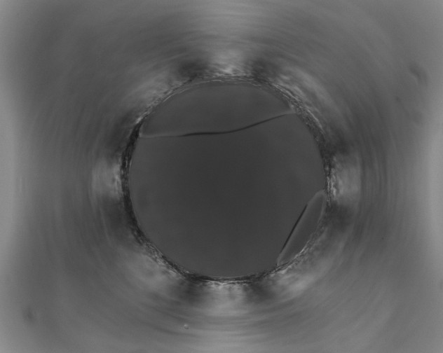 X0000111800520200908201156