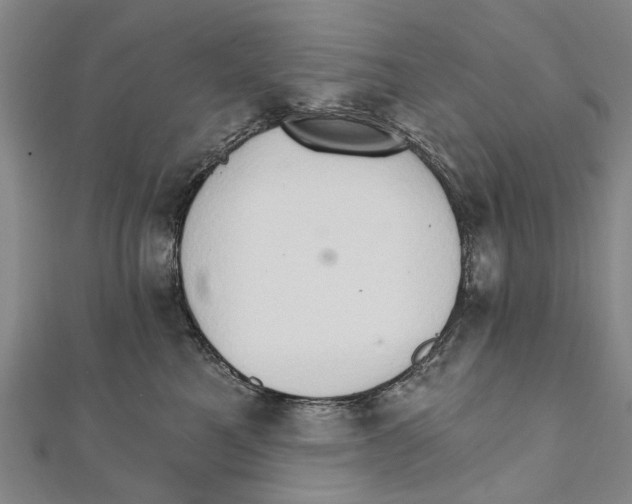 X0000111800521200908201156