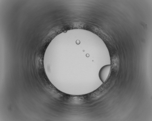 X0000111800522200908201156