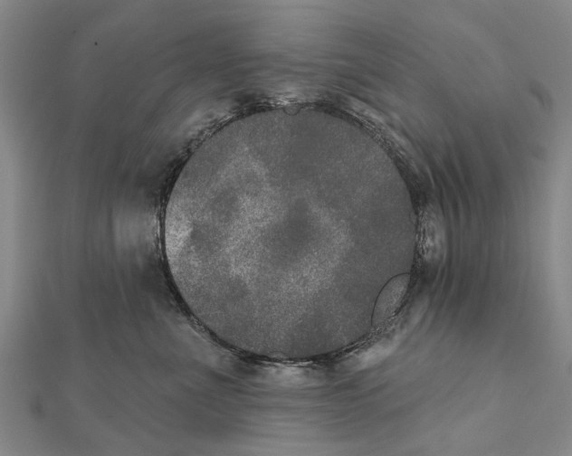 X0000111800523200908201156