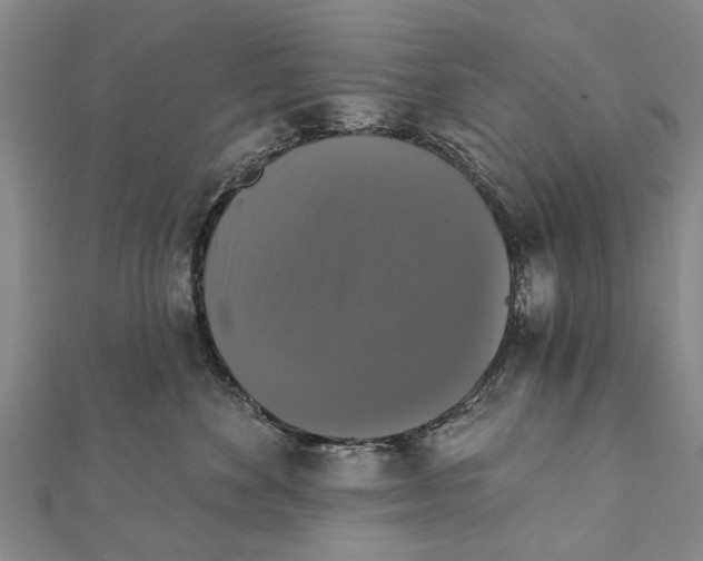 X0000111800524200908201156