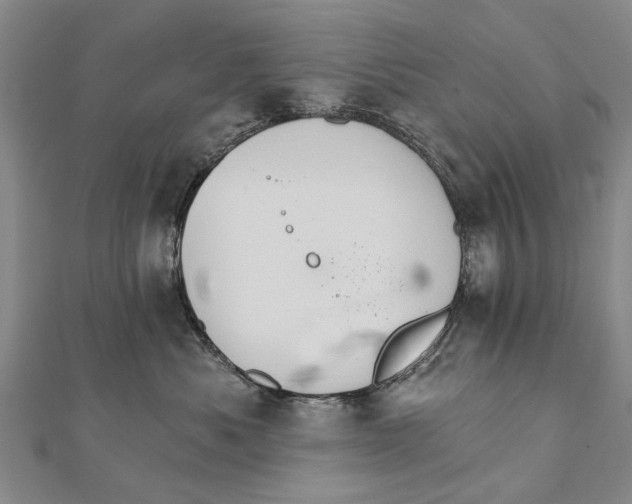 X0000111800525200908201156