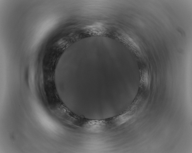 X0000111800526200908201156