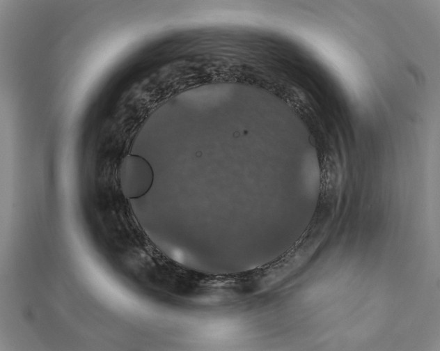 X0000111800527200908201156