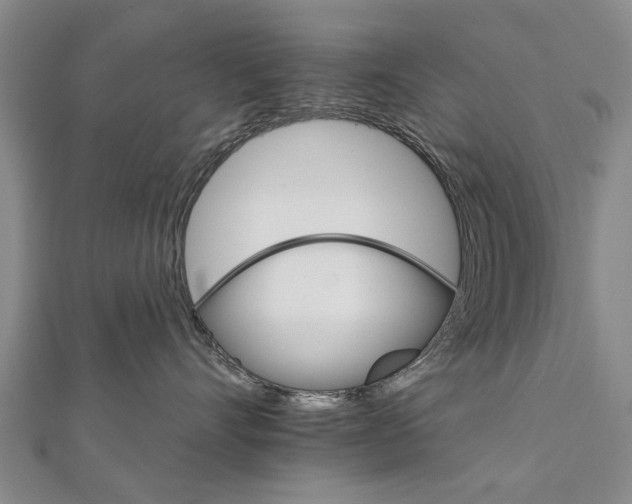 X0000111800528200908201156