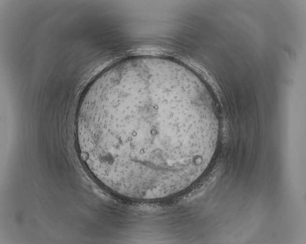 X0000111800529200908201155
