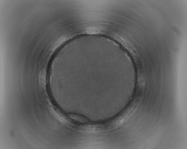 X0000111800530200908201155