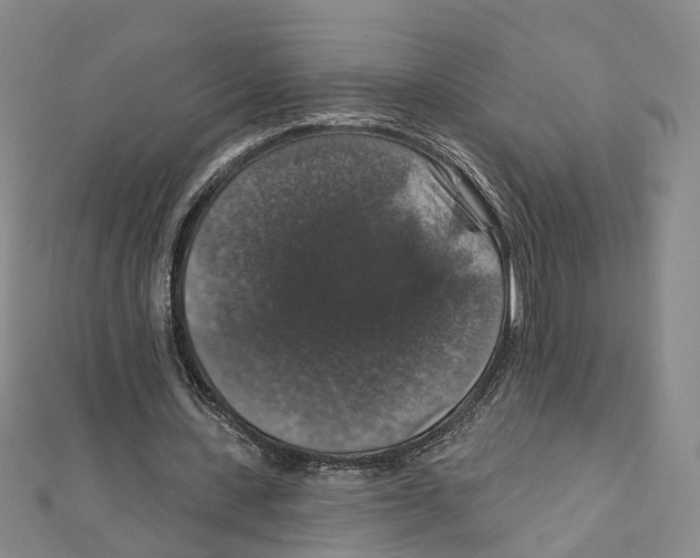 X0000111800531200908201155