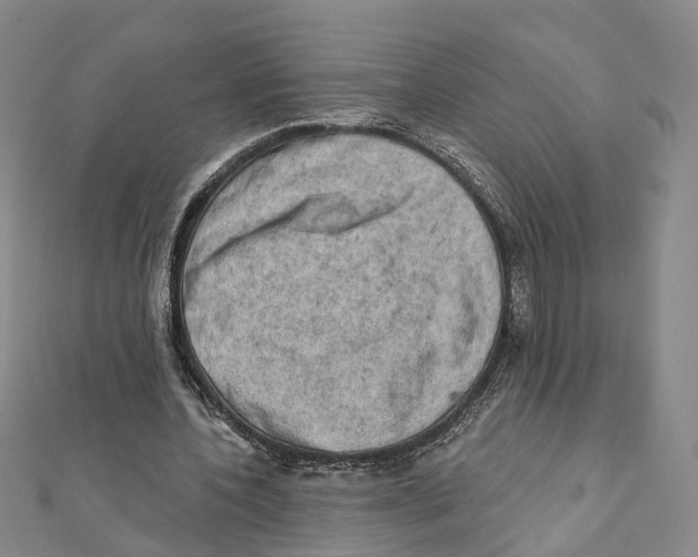 X0000111800532200908201155